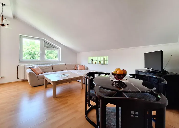 Apartment Nenad